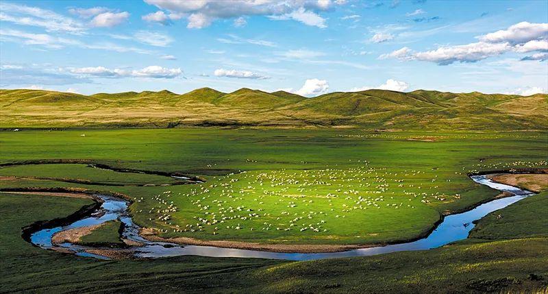 Photography and discovery | Grassland scenery, fertile wilderness thousands of miles away