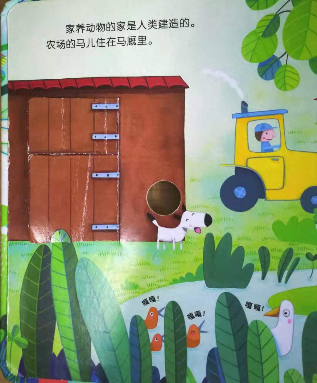 Picture book for young children: "Animals' Home" allows children to understand where animals' homes are