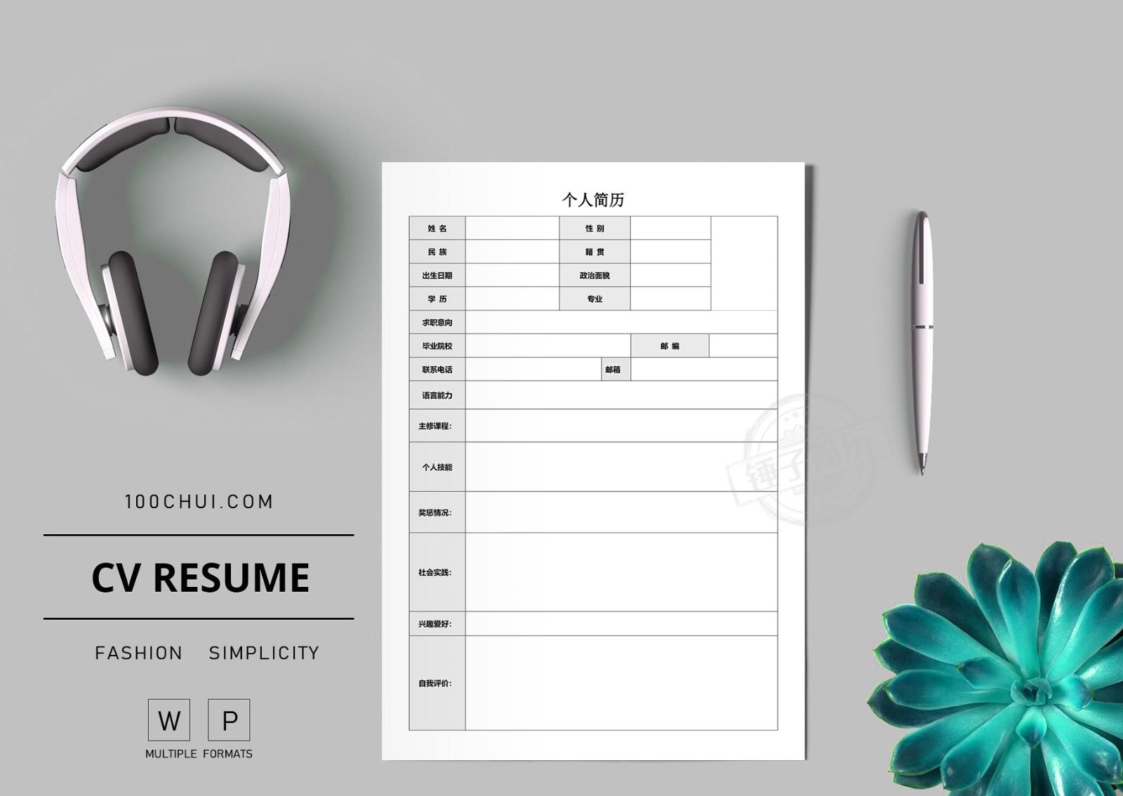 Standard resume form-Word resume editable and downloadable