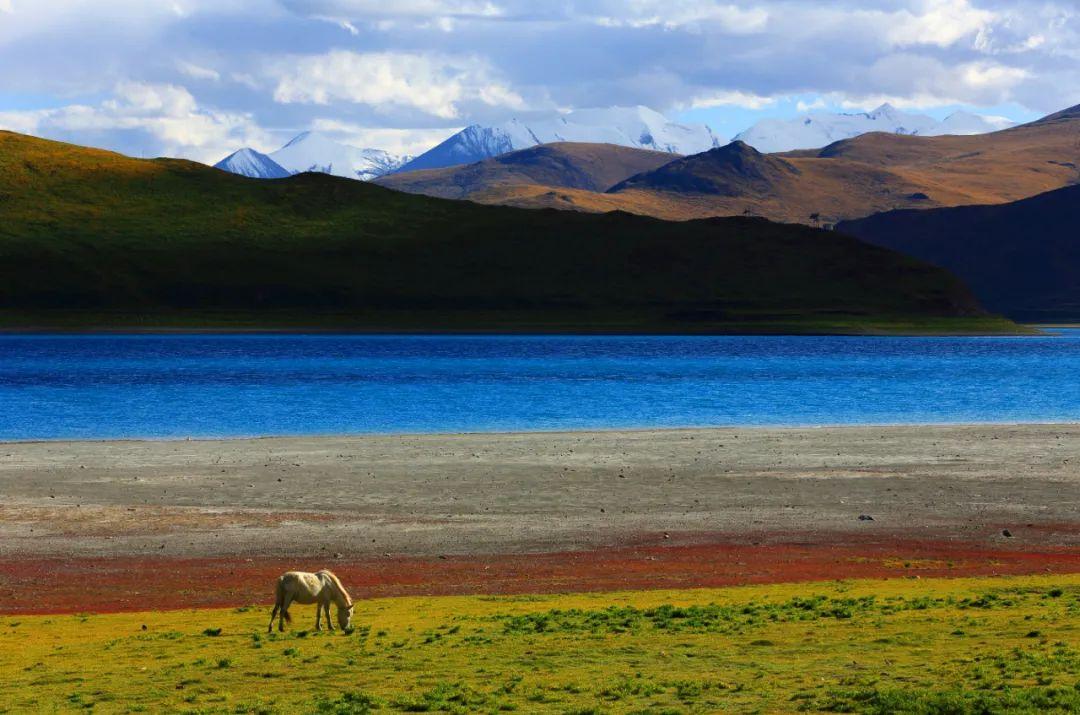 多张极致大片，寻找西藏最美的角落