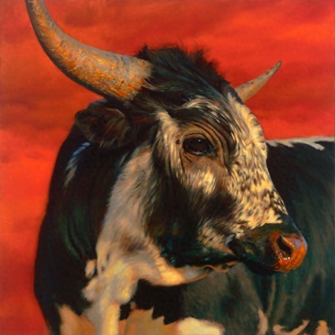 牛，美国画家 Teresa Elliott 油画作品