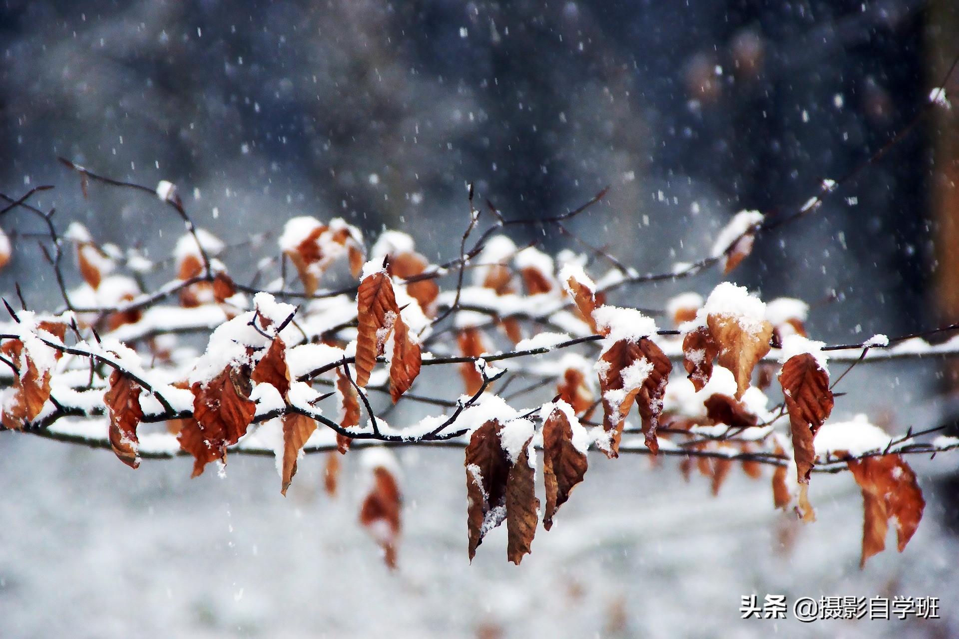 冬季摄影不容错过的6个题材，图文并茂帮你理清思路，提高拍摄率