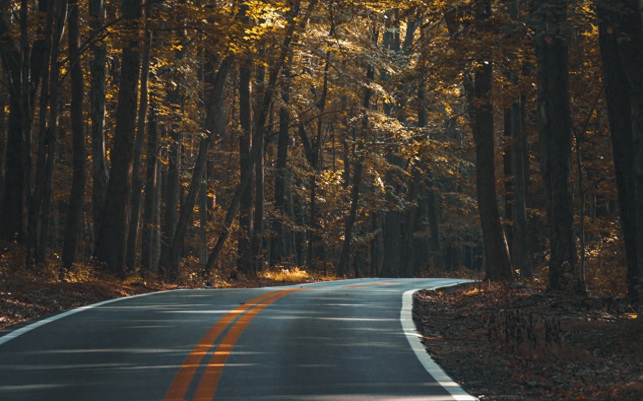 蜿蜒的沥青公路风景图片